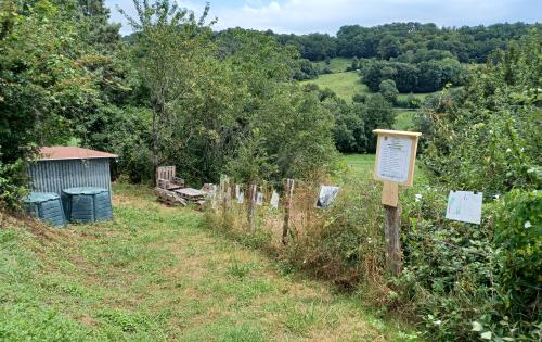 foret jardin  2 juillet 