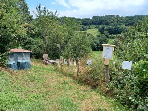 foret jardin  2 juillet 