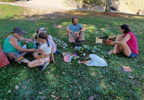 Atelier bouturage