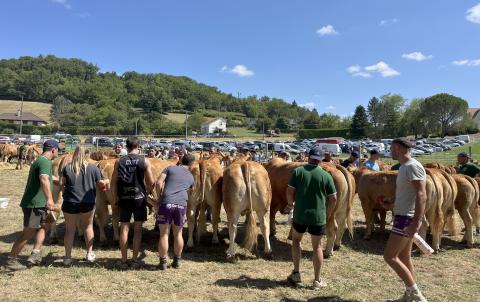 COMICE AGRICOLE