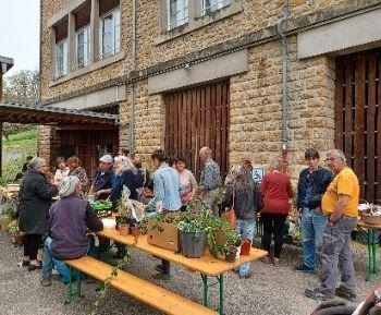 Forêt jardin