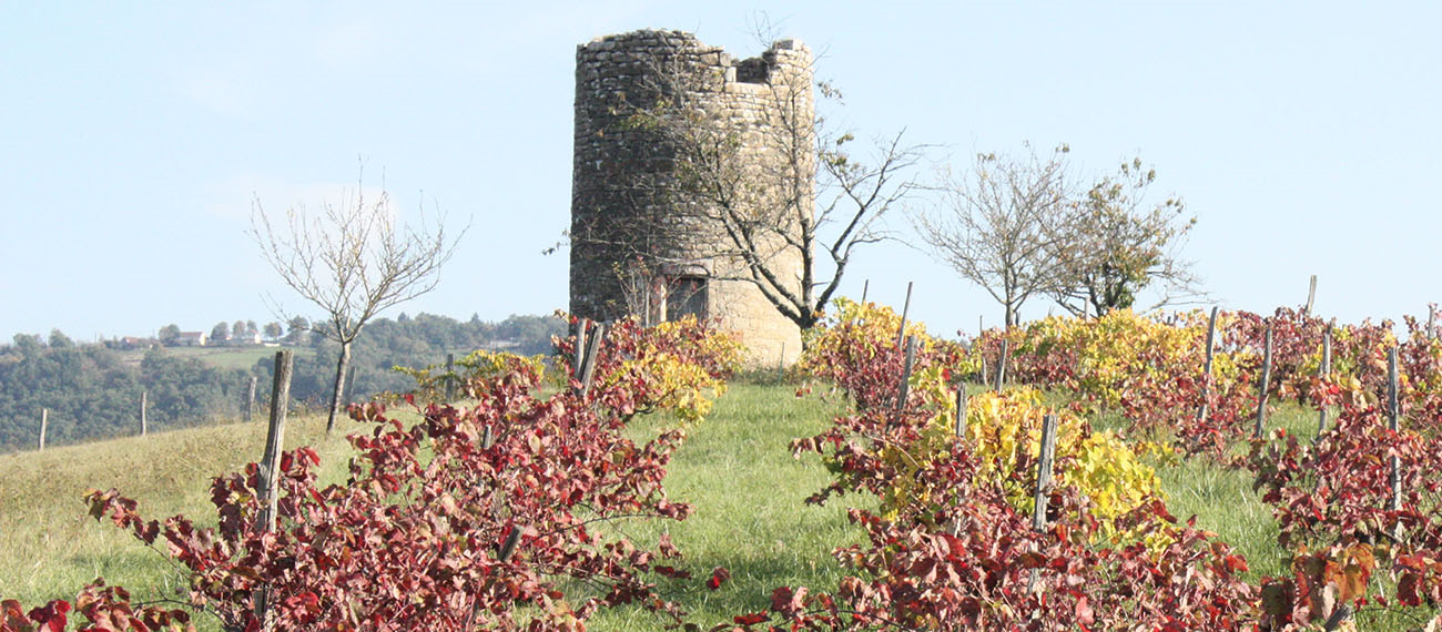 Moulin