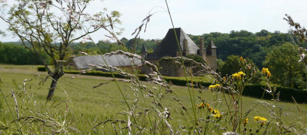 Vue Château de la Rue dans les herbes folles