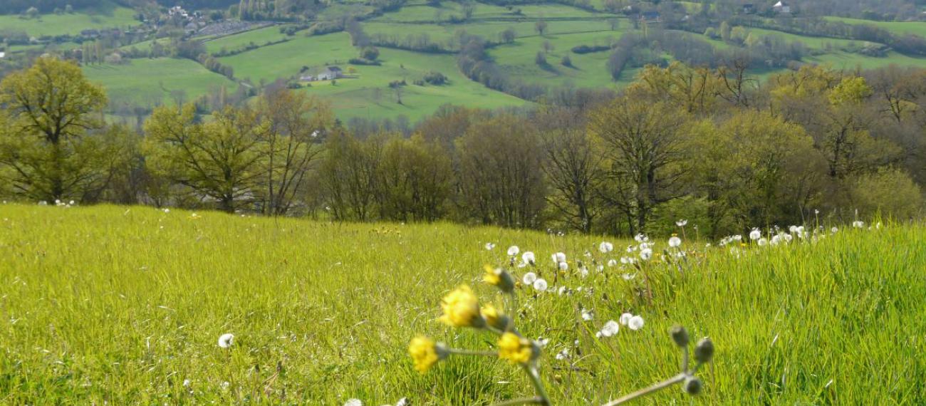 Vue de Turenne au printemps