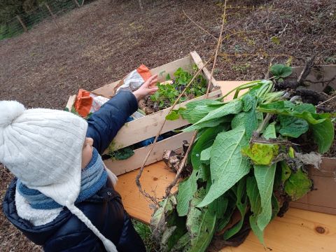 photo atelier forêt jardin